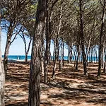 Sa Costa Alloggio per agriturismo *