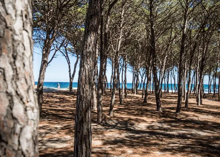 Sa Costa Bauernhof *